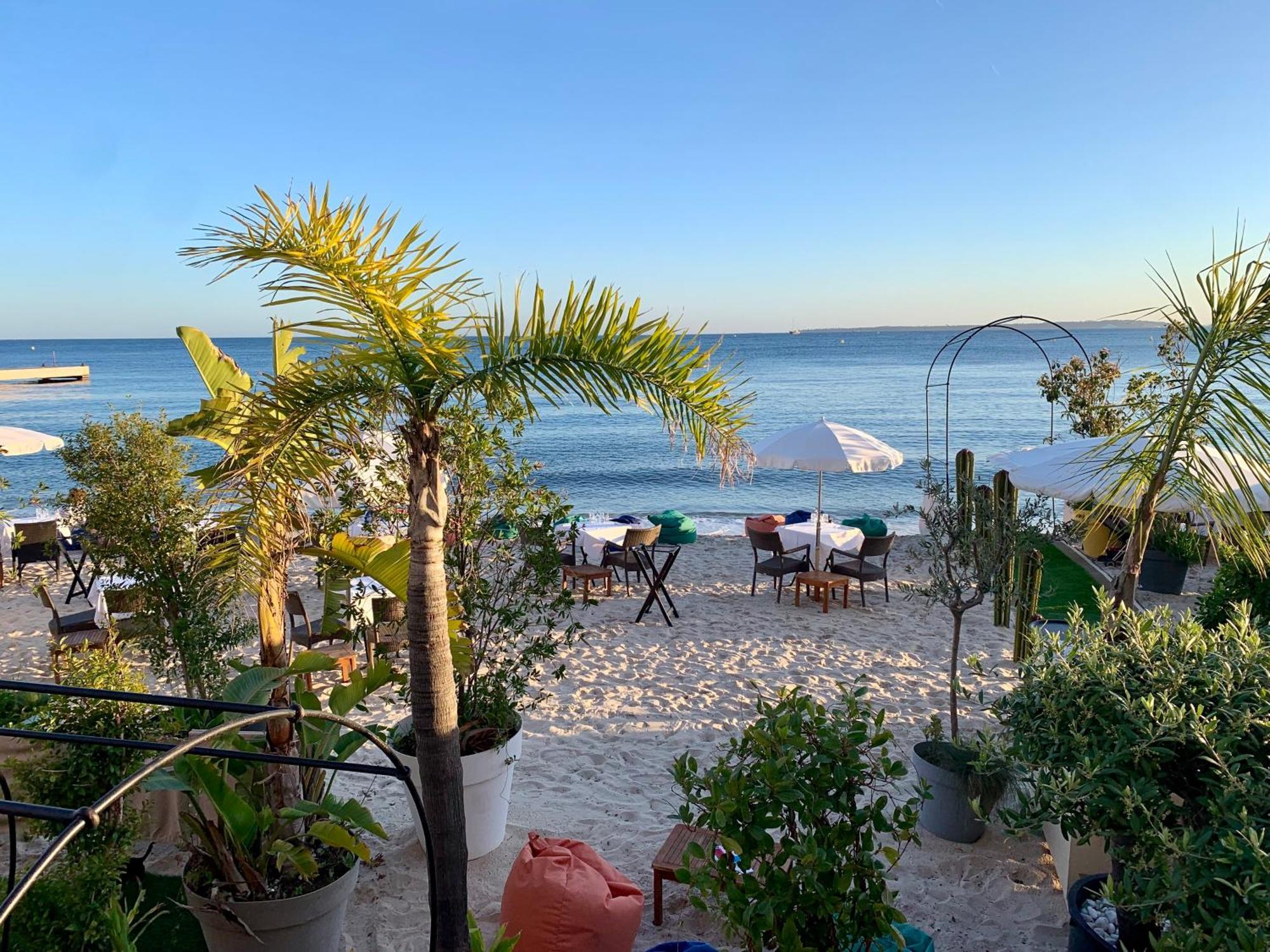 Somptueux Appartement 20M Plages Avec Vue Mer 昂蒂布 外观 照片